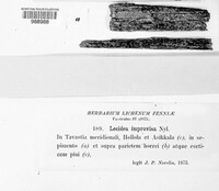 Image Associated With the Occurence
